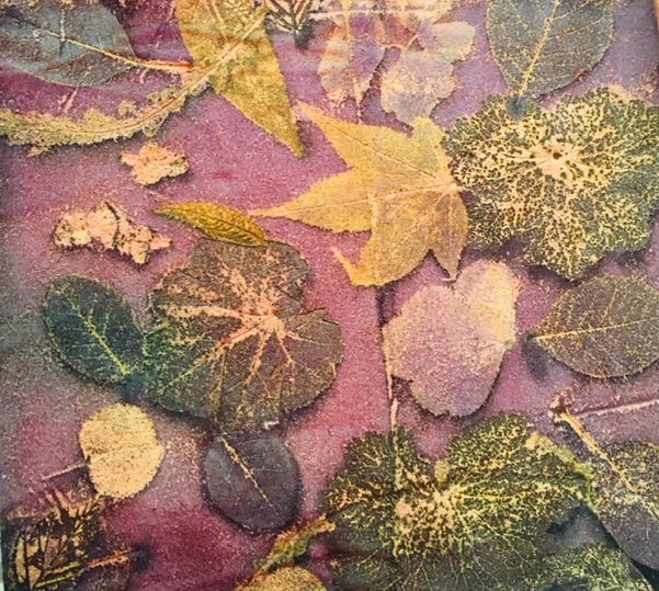 Limited Edition Guest Workshop - Eco Printing with Fiona Balding